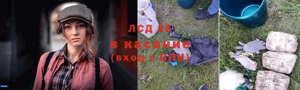 винт Алзамай