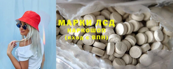 молекула духа Арсеньев