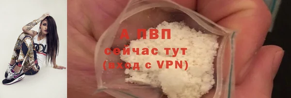 винт Алзамай