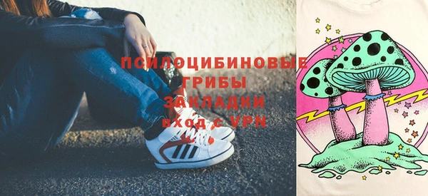 ГАЛЛЮЦИНОГЕННЫЕ ГРИБЫ Армянск