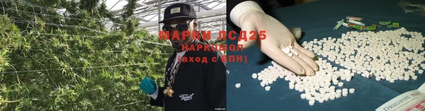 ГАЛЛЮЦИНОГЕННЫЕ ГРИБЫ Армянск
