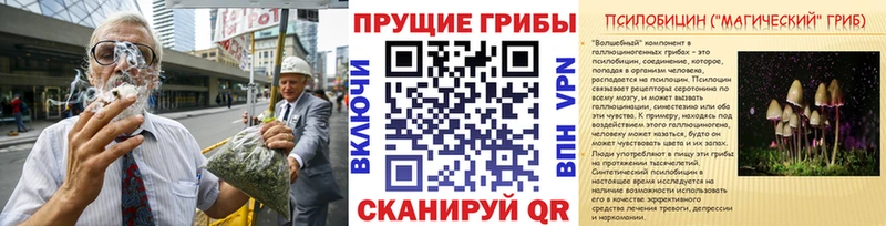 Псилоцибиновые грибы Psilocybine cubensis  Малоархангельск 